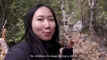 Di Hutan Sepi